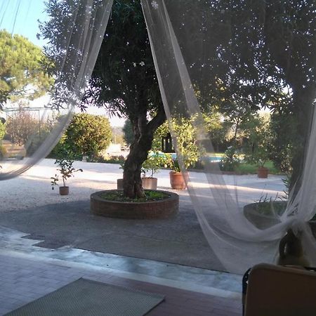 Bed and Breakfast Il Gelso Di Barcuzzi à Lonato Extérieur photo
