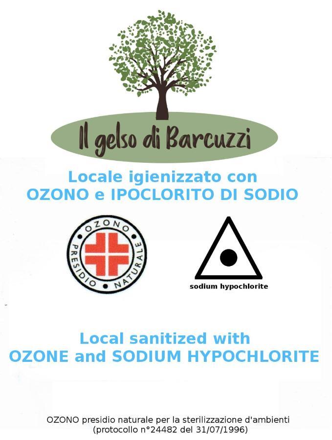 Bed and Breakfast Il Gelso Di Barcuzzi à Lonato Extérieur photo