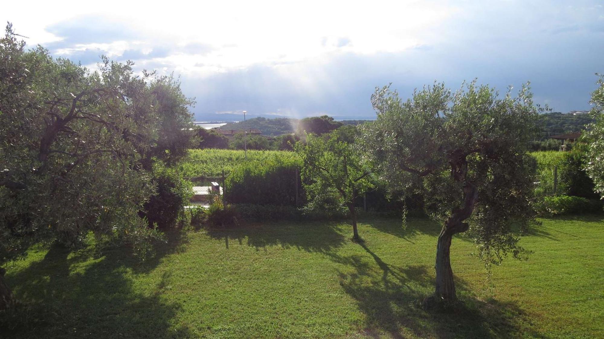 Bed and Breakfast Il Gelso Di Barcuzzi à Lonato Extérieur photo
