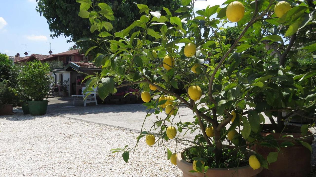 Bed and Breakfast Il Gelso Di Barcuzzi à Lonato Extérieur photo