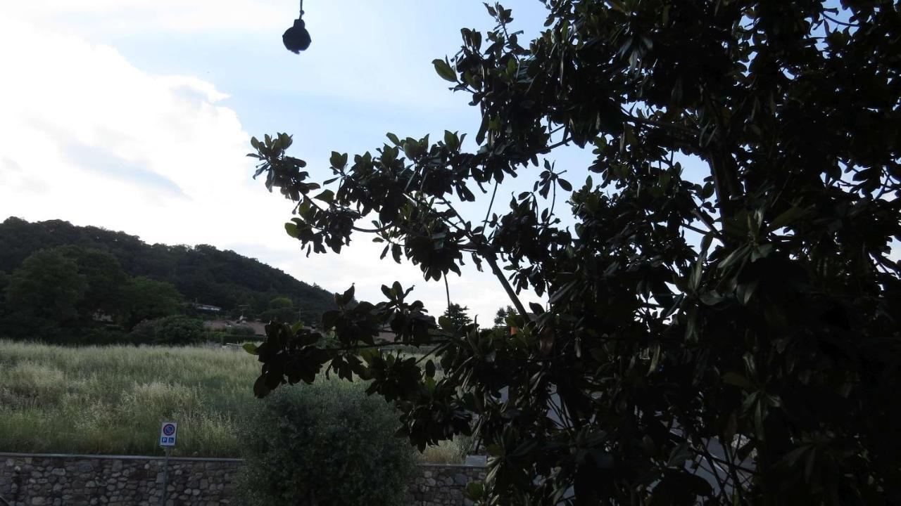 Bed and Breakfast Il Gelso Di Barcuzzi à Lonato Extérieur photo