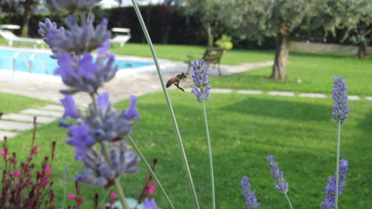 Bed and Breakfast Il Gelso Di Barcuzzi à Lonato Extérieur photo