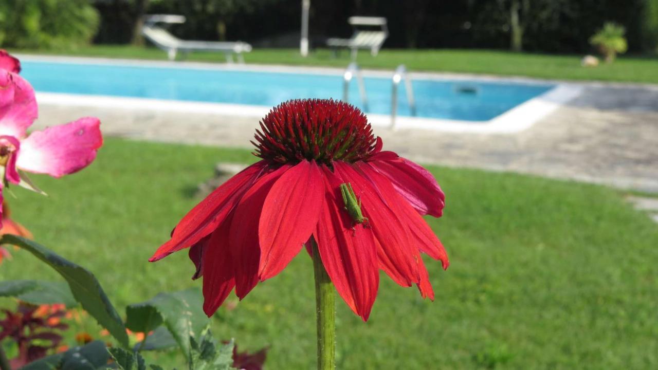 Bed and Breakfast Il Gelso Di Barcuzzi à Lonato Extérieur photo